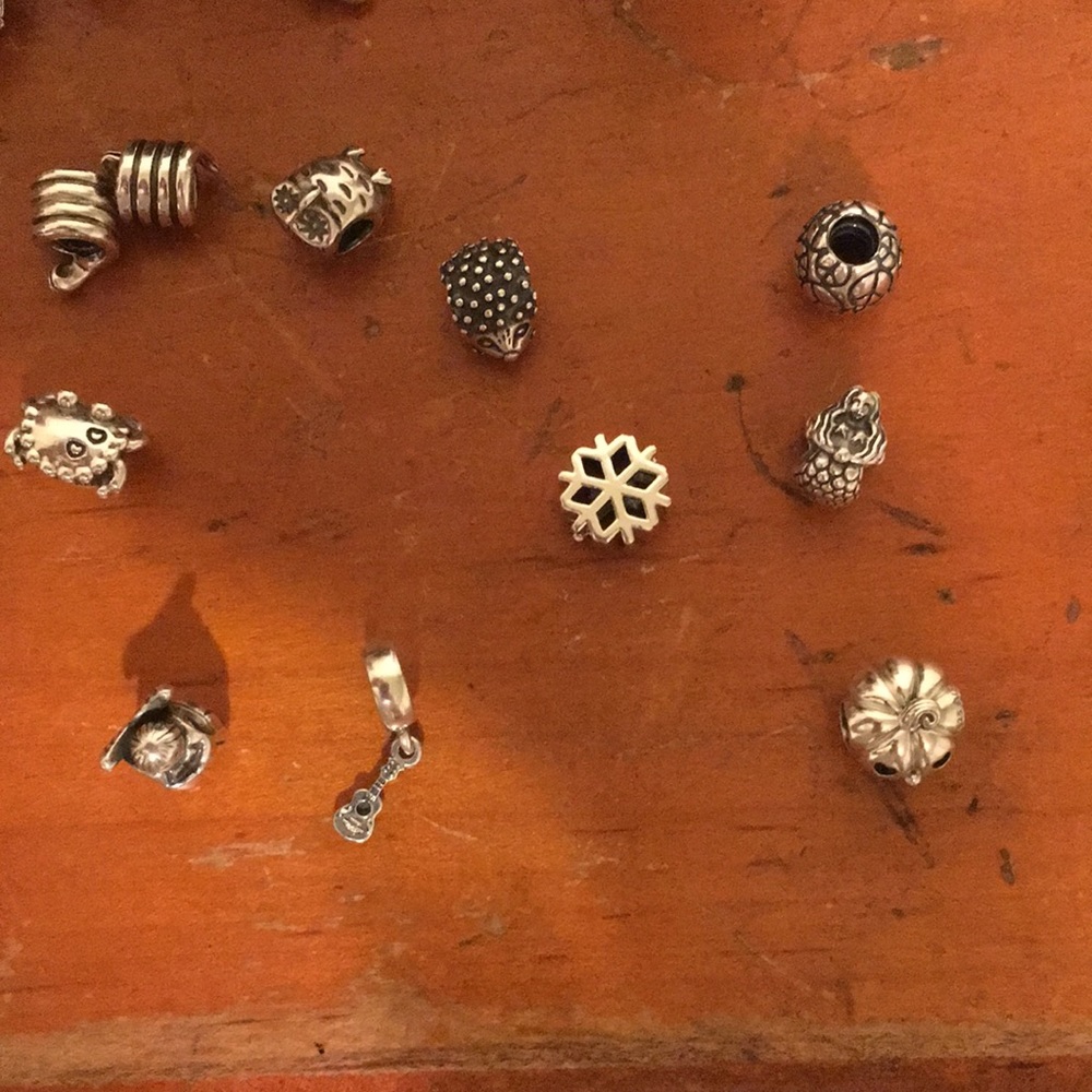 Silver Pandora Charm Bracelets - Picture 6 of 11